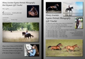 Henry Szwinto Photography New Forest Equine Photographer