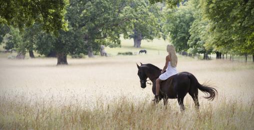 Dream like horse photos in park like grounds