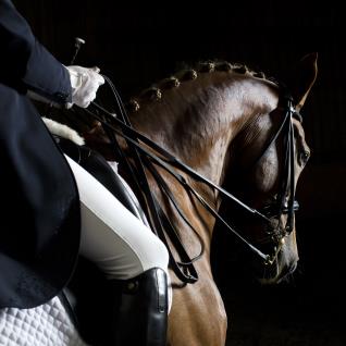 kids add lots of fun to horse photos