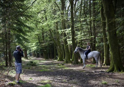 Equine photography can produce action photos too.