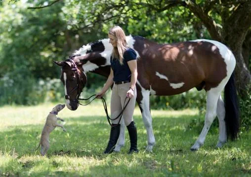 Henry Szwinto New Forest Equine Photography