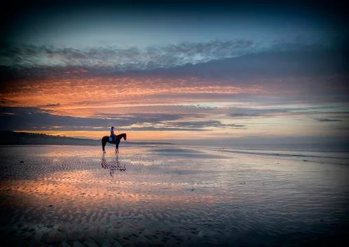 Beach Sunrise Henry Szwinto equine photography