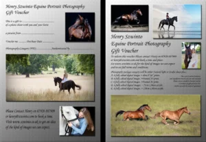 Henry Szwinto Equine Gift Voucher