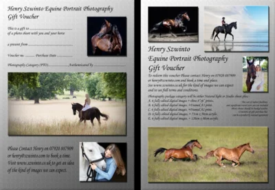 Henry Szwinto Equine Gift Voucher